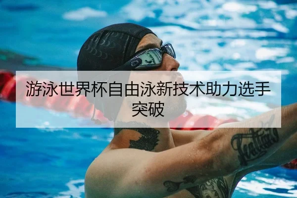 游泳世界杯自由泳新技术助力选手突破